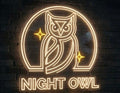 Night Owl LED Neon Sign Logo
