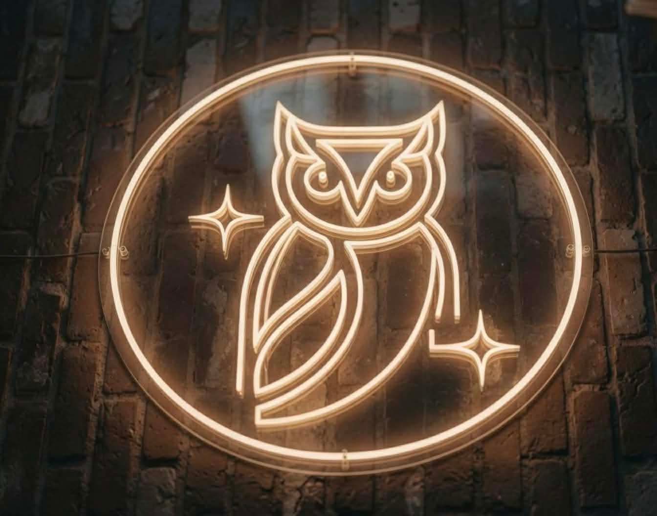 Night Owl Neon Sign - Warm White